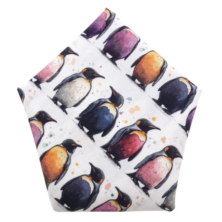 Colourful Penguins...