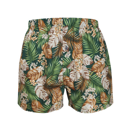 Tropical Palm Leaves boxer...
