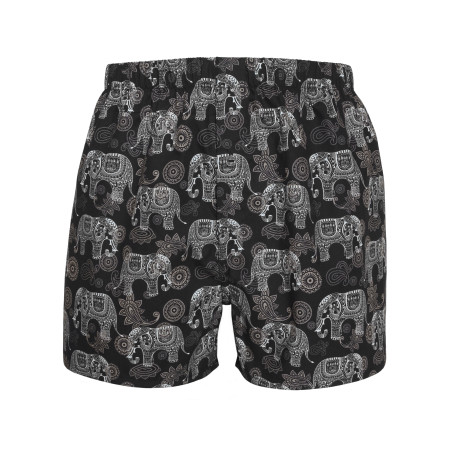 Bohemian Elephants boxer...